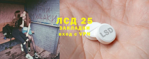 ПСИЛОЦИБИНОВЫЕ ГРИБЫ Алексин