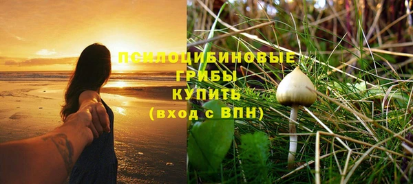 ПСИЛОЦИБИНОВЫЕ ГРИБЫ Алексин