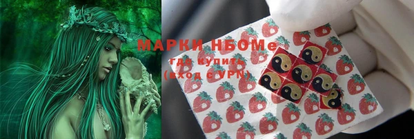 ПСИЛОЦИБИНОВЫЕ ГРИБЫ Алексин